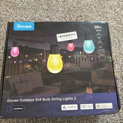 Govee Outdoor Lights 