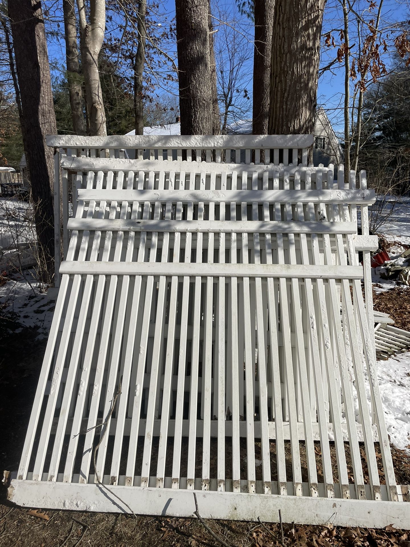 6 Foot Cedar Picket