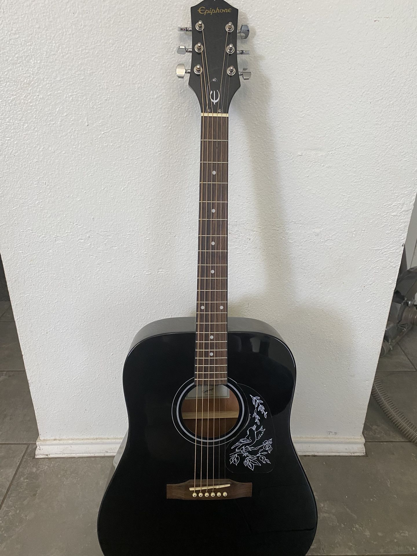 Starling Hummingbird Acoustic Guitar