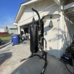 Ever Last Punching Bag ( With Speed Bag )  