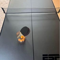 ESPN Ping Pong Table
