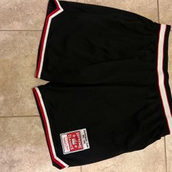Supreme Shorts 