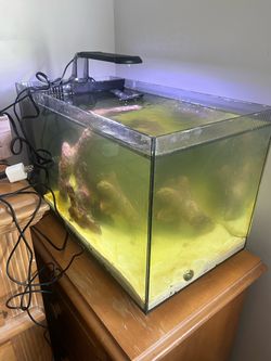 Fluval Evo 13.5 Tank with heater