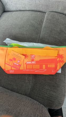 TRADERS JOE’S MINI INSULATED BAG