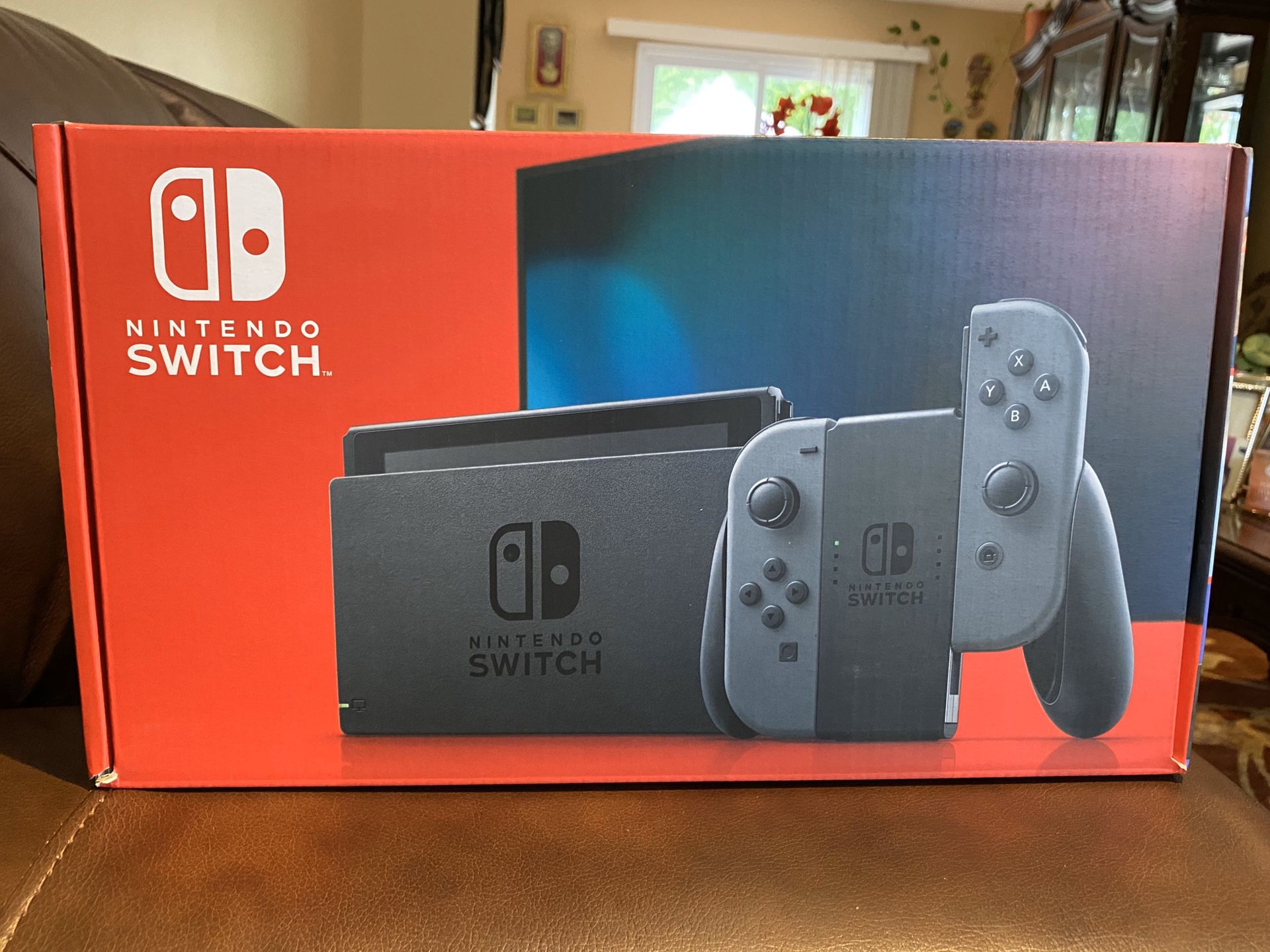 Nintendo Switch Gray Joy-Con