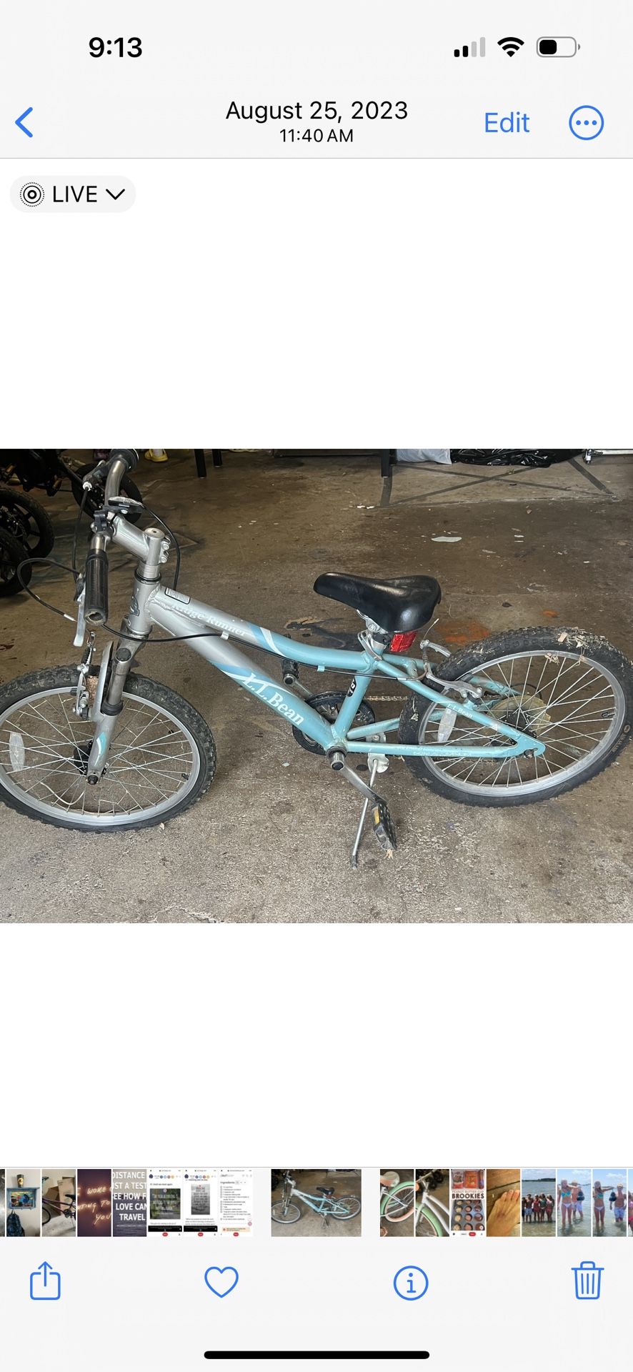 LLBean Bike