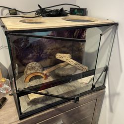 Reptile 🦎 Setup Everything 