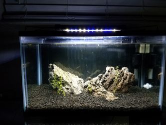 Aquarium fish tank 10 gallon