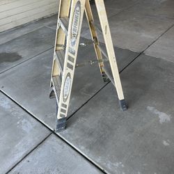 4’ Werner Ladder