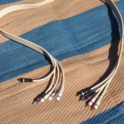 5 Foot 5 Wire Audio Video Component 