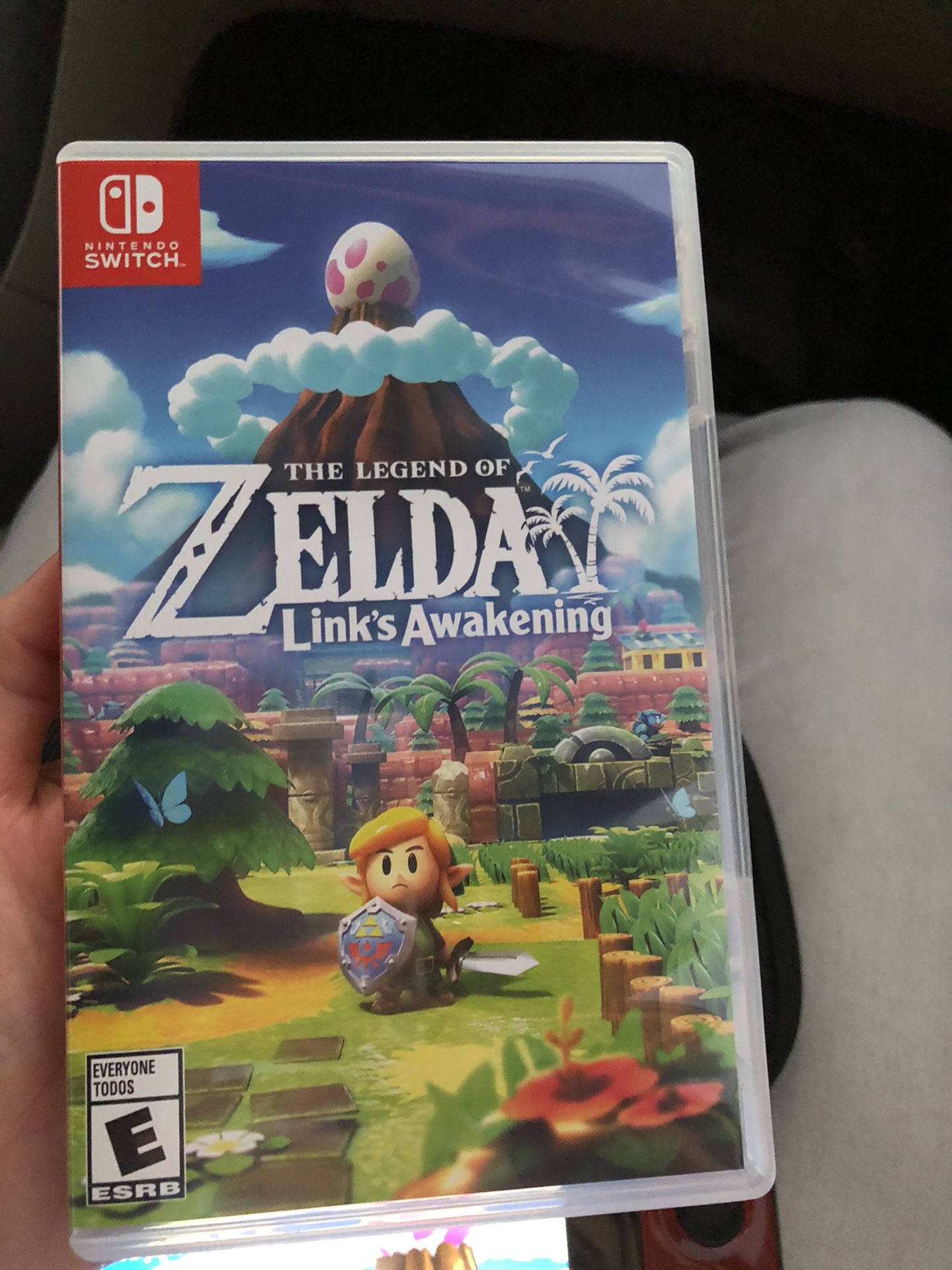 Nintendo Switch Link’s Awakening