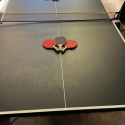 Ping Pong Table
