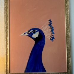 Framed Peacock Bird Wall Art 