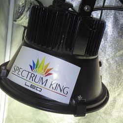 Spectrum King Closet Case 100 Watts 