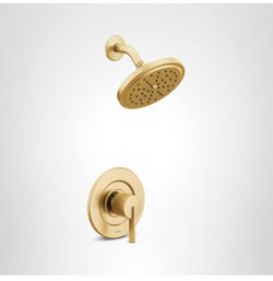 Moen Cia Eco-Performance - Rain shower faucet adjustment kit with wide shower head and handle, requires Posi-Temp valve, T2262EPBG