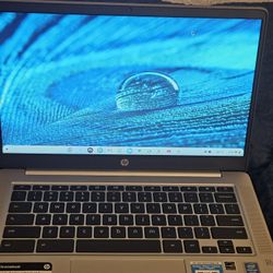 HP Laptop Chromebook 