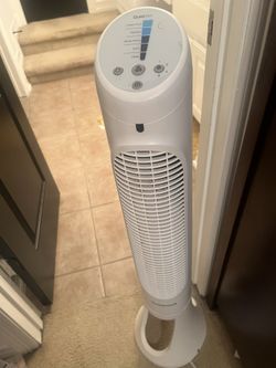 Good Fan For Cheap