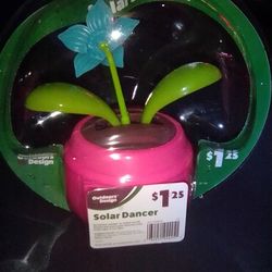 Garden Decor 