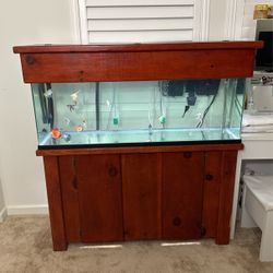 50 gallon, Stand and Canopy 