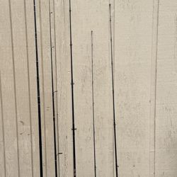 Fishing Poles/reels