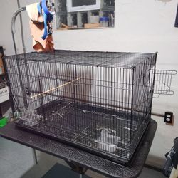 Bird Cage 