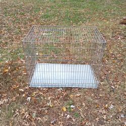 Dog Kennel