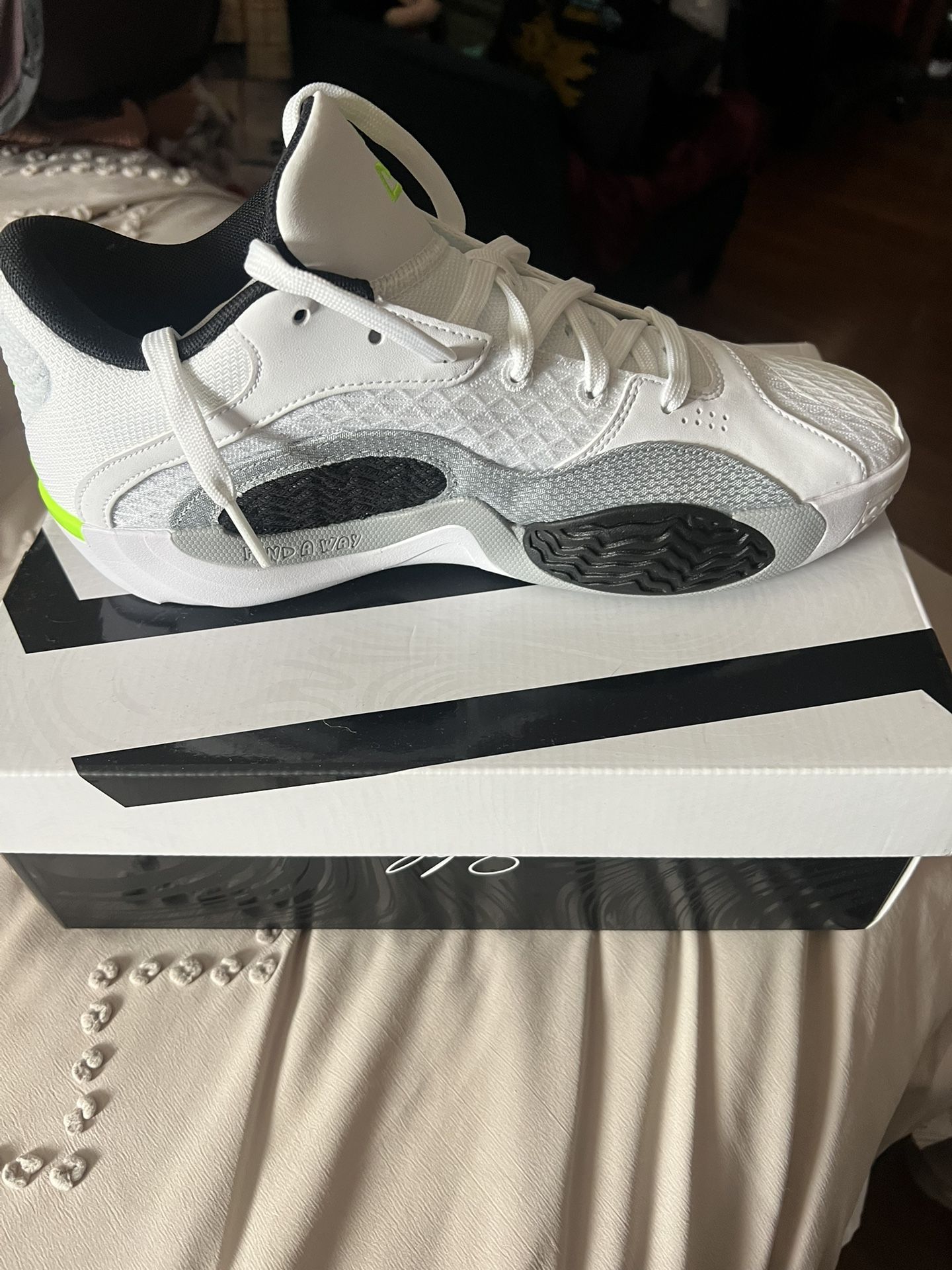 Brand New Jordan Tatum 2