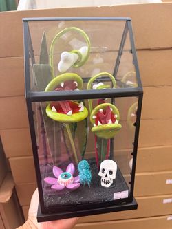 Halloween Carnivorous Plant Terrarium Display