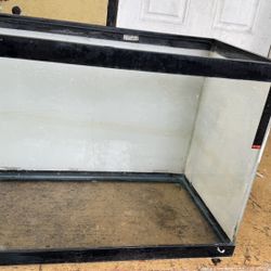 20 Gallon Fish Tank