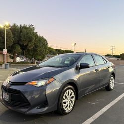 2019 Toyota Corolla 