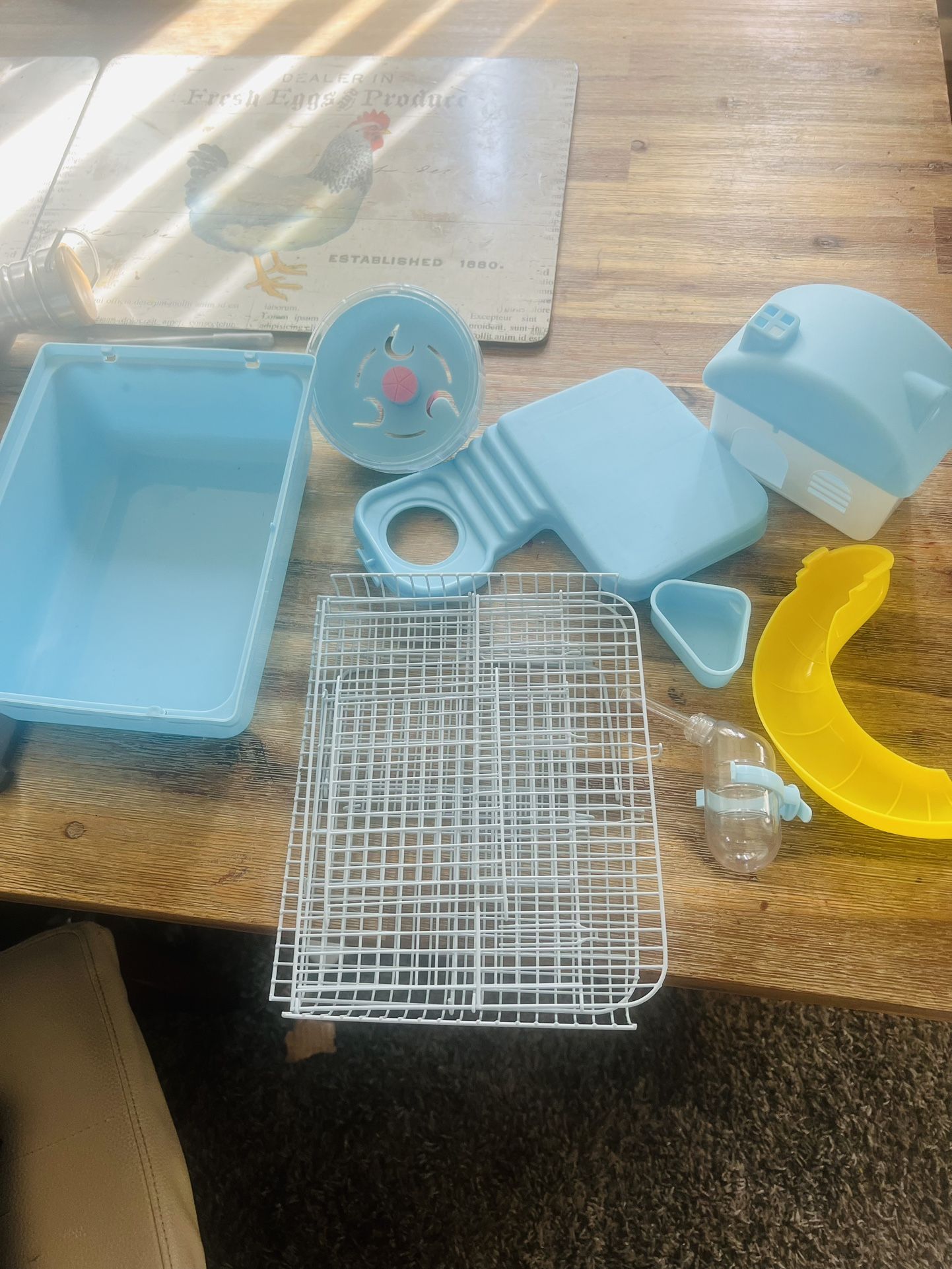 Small Cage Hámsters