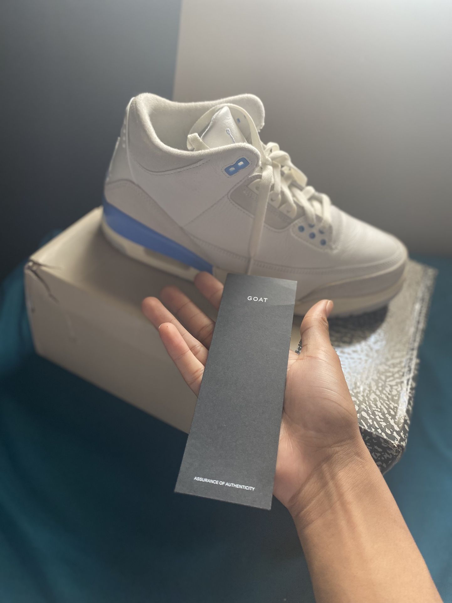 Jordan 3s