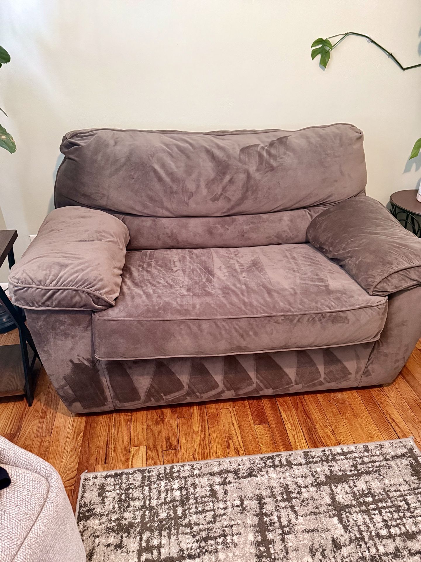 Loveseat Sleeper