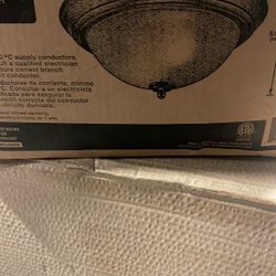 2- light flush mount 