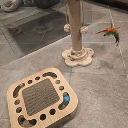 Cat Scratcher And Cat Toy