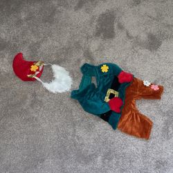 Medium Elf Doggy Costume 