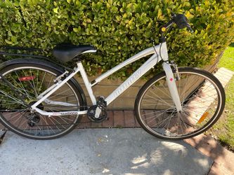 Women’s Infiniti bike.