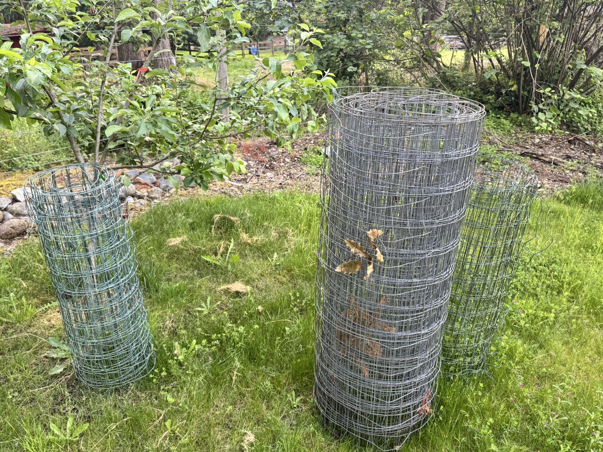 Field fencing. wire fence