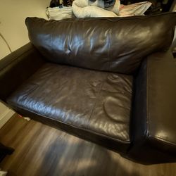 Dark Brown Couch, 2 Seater, Twin Size Pullout Bed