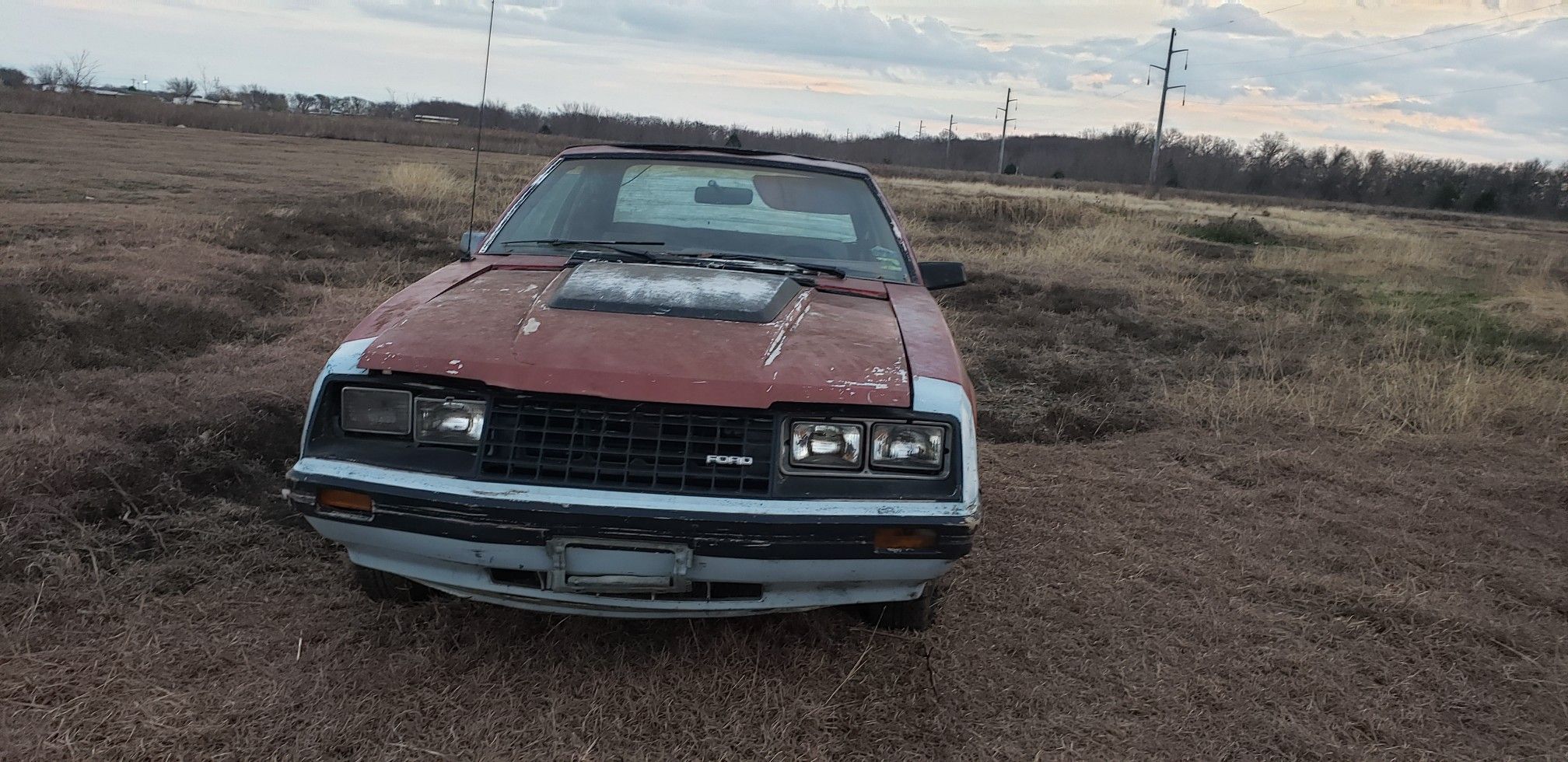 1983 Ford Mustang