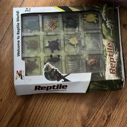Turtle Toys
