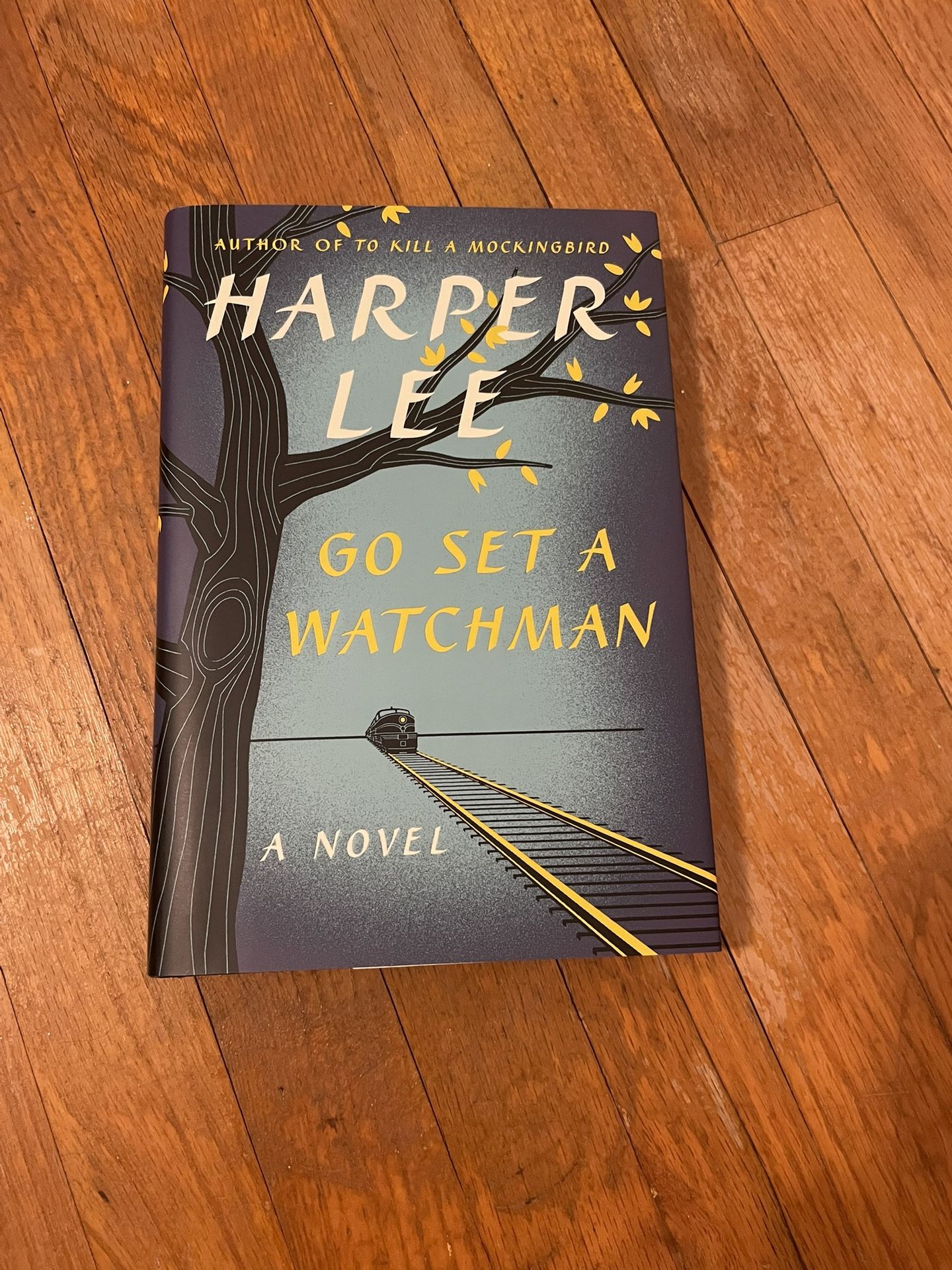 Go Set A Watchman by Harper Lee