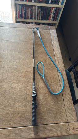 Flirt pole (pole for dogs)
