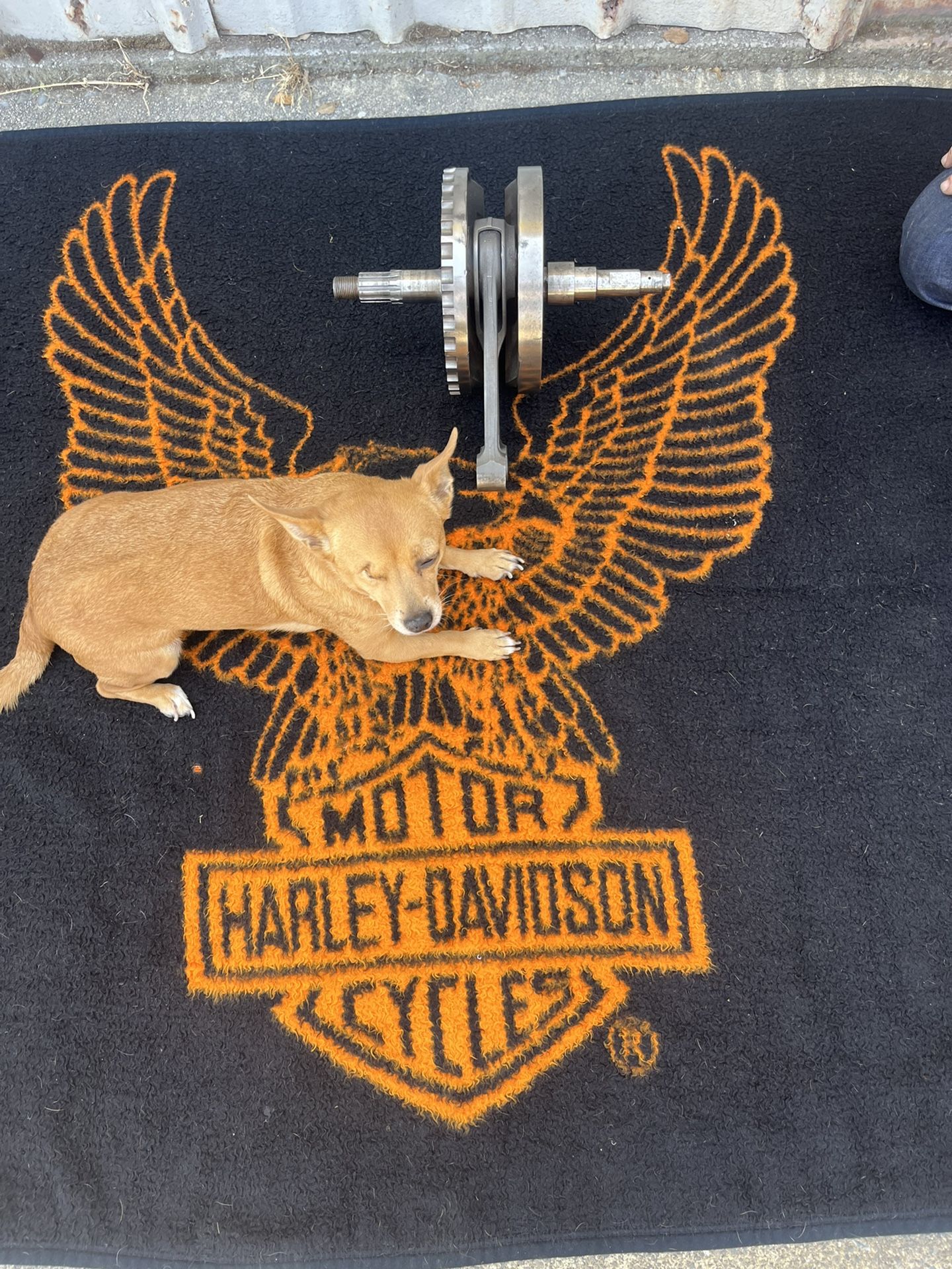 Harley Davidson Flywheel S & S Cycle