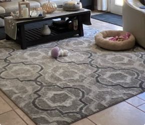 Large area rug 7 x 10