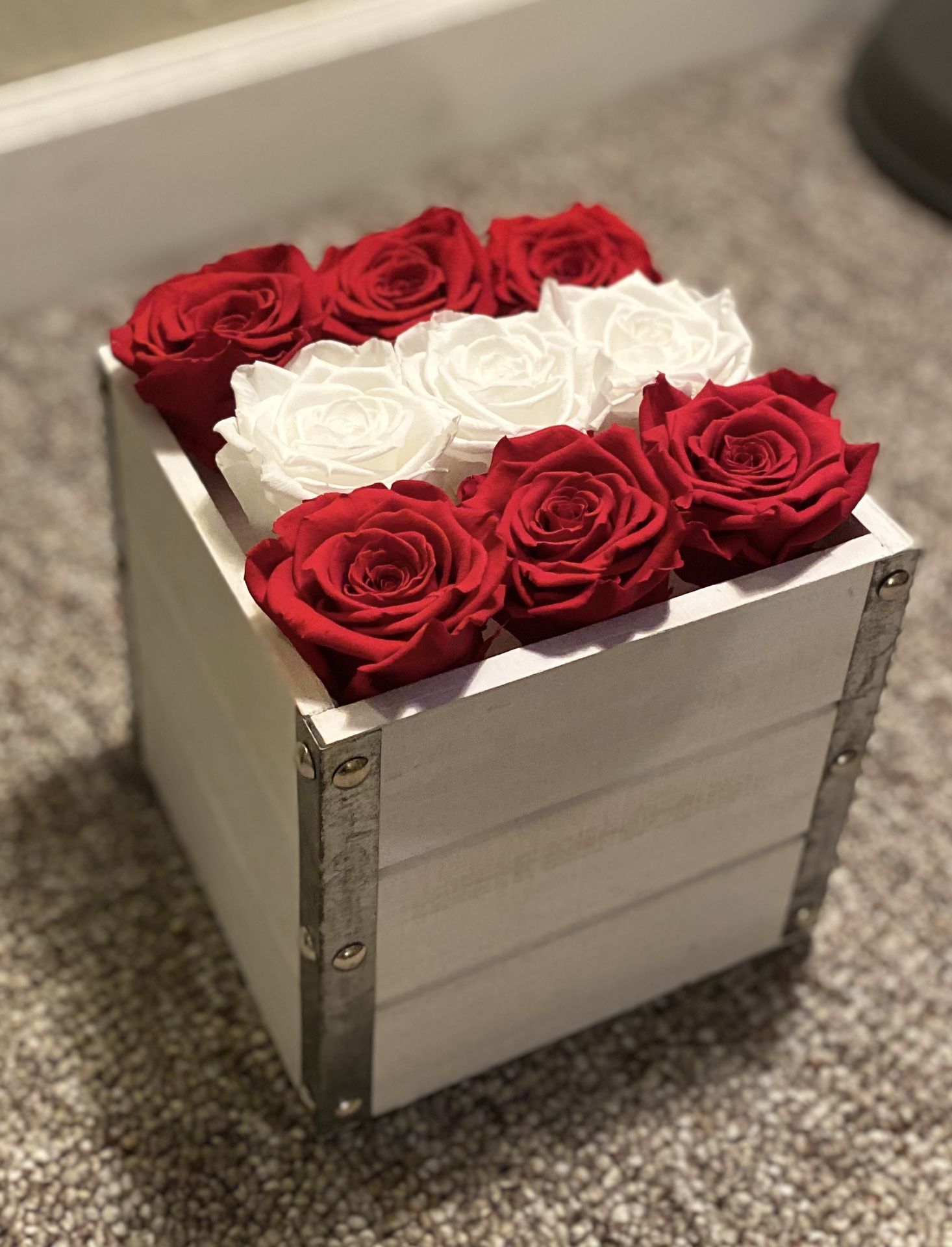 Roses preserved
