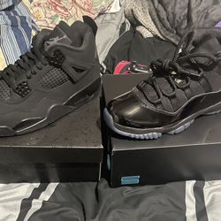 Gammas And Blakc Cats 