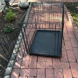 Metal wire crate