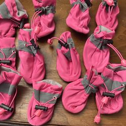 Dog Shoes 