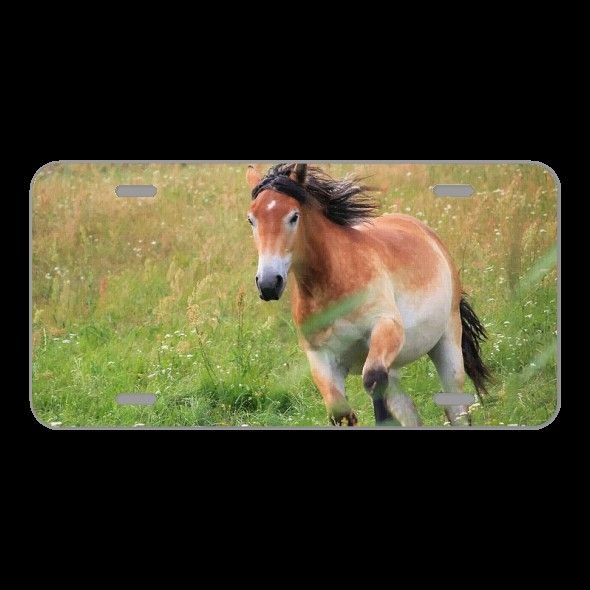 License Plate Novelty Car Front Painting Oil Painting Photo Painting